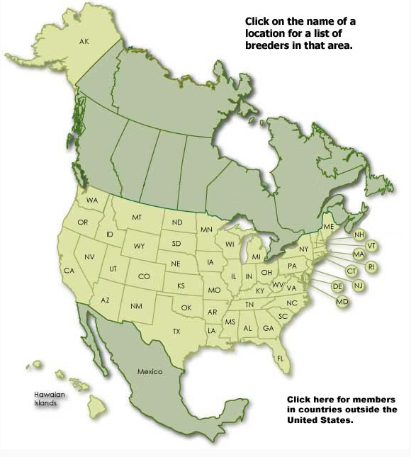 Highland Cattle | screenshot of Highland farms in the US